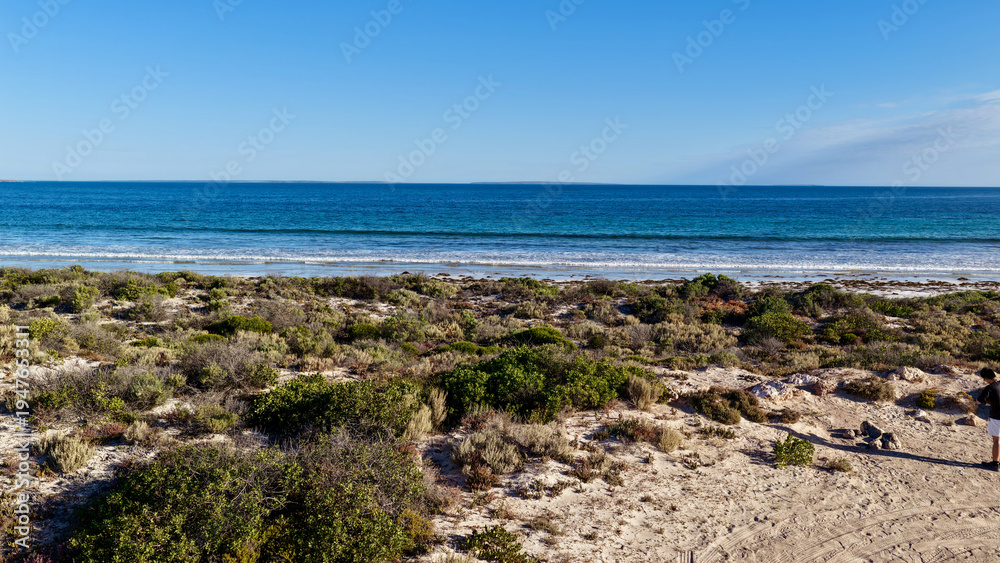 Fototapeta premium Davenport Creek, Charra, South Australia – 4K aerial drone view of coastal sand dunes, tidal creek, remote beach, wetlands, mangroves and rugged Eyre Peninsula shoreline. 