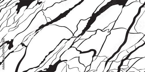 Abstract Black and White Marble Texture with Dynamic Veins and Organic Patterns.