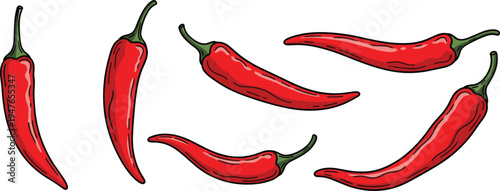 Red chili pepper collection vector illustration with fresh spicy hot peppers isolated set organic vegetable ingredient for cooking food design