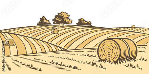 A field with hay bales and trees in the background Vector