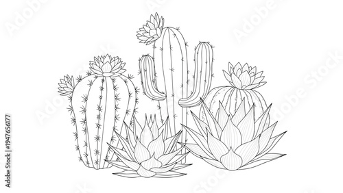 Diverse group of prickly cacti and succulent plants shown as a detailed black and white line art drawing for coloring.