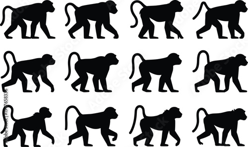 Silhouette Collection of Baboon Monkeys in Various Poses and Movements animal primate