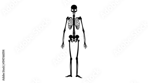 skeleton symbol, black isolated silhouette