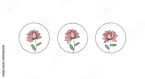 Three delicate pink lotus flowers each enclosed in a black circle represent purity and tranquility in a minimalist botanical design.