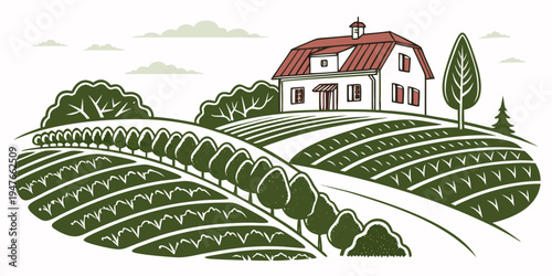 A house on a hill overlooking a vineyard Vector