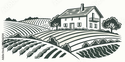A house on a hill overlooking a vineyard Vector