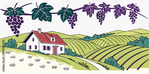 A house on a hill with a vineyard and grapevines Vector