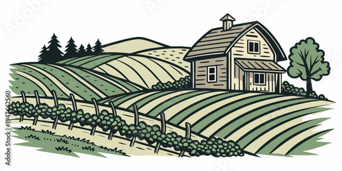 A house on a hill surrounded by rows of vineyards Vector