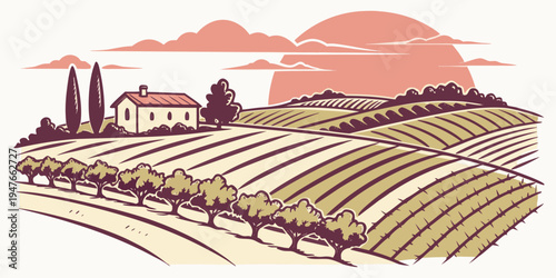 A vineyard with a house on a hillside Vector