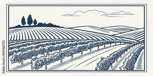 A blue and white illustration of a vineyard landscape Vector
