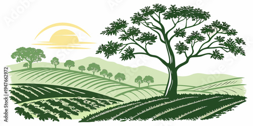 A tree on a hillside with a sun in the background Vector