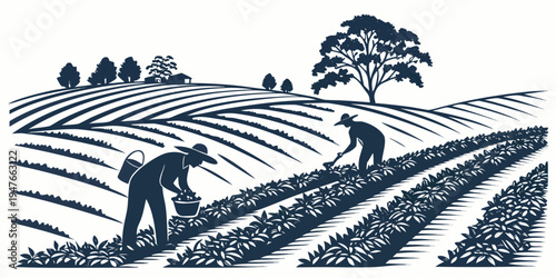 Farmers working in a field with rows of crops Vector