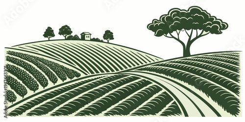 A green illustration of a vineyard with a tree on a hill Vector