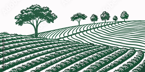 A green illustration of a vineyard with trees on a hill Vector