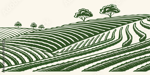 A green illustration of a field with rows of crops and trees in the distance Vector