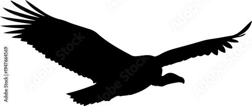 Vulture Silhouette