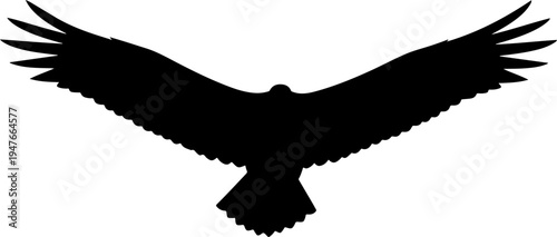 Vulture Silhouette
