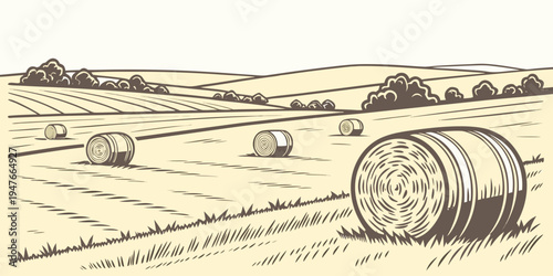 A large round bale of hay in a field Vector