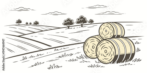 Three hay bales sitting in a rural field Vector