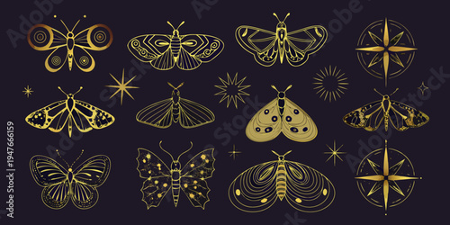 Golden butterflies and moths with celestial starbursts in a decorative design