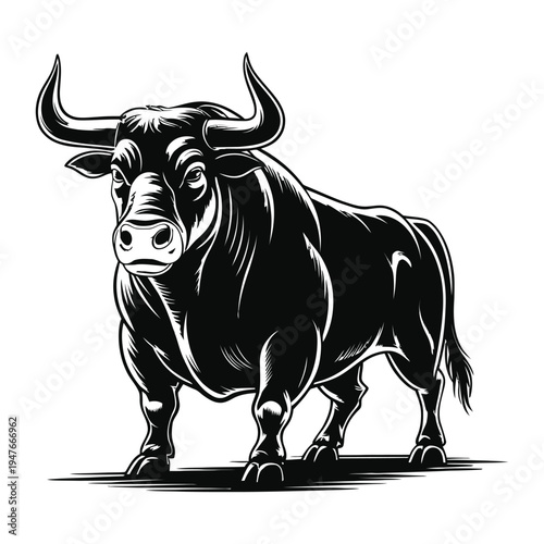 black and white bull