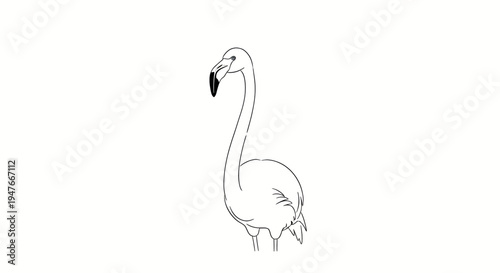 A detailed sketch of a graceful flamingo standing tall against a plain white backdrop, highlighting its elegant form and distinctive features