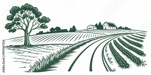 Vineyard landscape with tree and rolling hills Vector