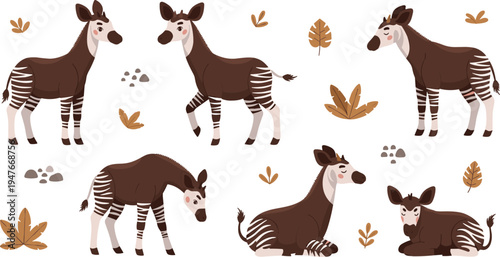 Okapi Vector Illustration Set Featuring Rare African Forest Animals in Standing and Resting Poses for Safari Wildlife Graphics, Nature Designs, and Zoology Education.