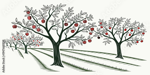 A row of trees with red apples on a grassy hill Vector