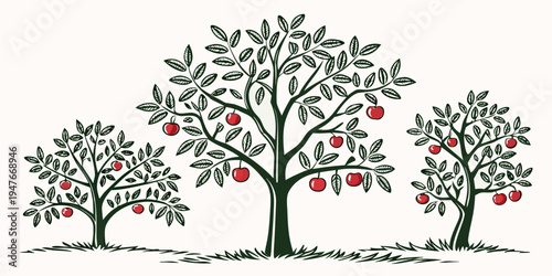Three apple trees with red apples in an orchard Vector