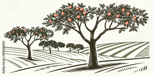 An illustration of two trees with red fruit in an orchard Vector