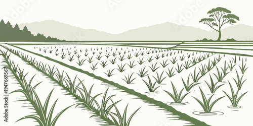 A field of crops with a tree in the background Vector