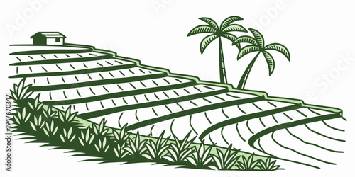 A green illustration of a vineyard with palm trees Vector