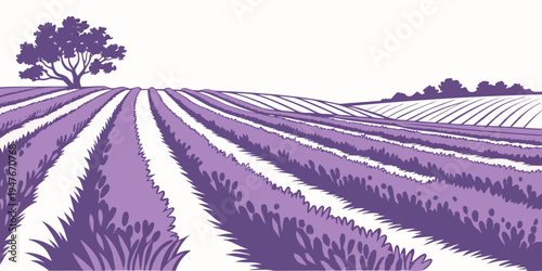 A purple field of lavender with a tree in the distance Vector