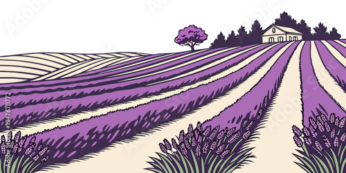 A field of purple flowers with a tree in the distance Vector