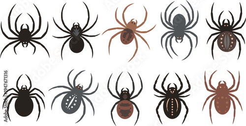 Spider Vector Illustration Set Featuring Different Arachnid Species in Various Crawling Poses for Insect Collection Graphics, Nature Biology Education, and Halloween Designs.