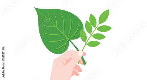 A hand gently holds a vibrant green leaf and a small branch