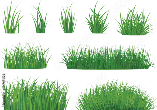 Green grass tufts and meadow lawn patches set featuring vector illustrations of garden greenery field turf plants and botanical elements on white background.