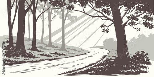 A dirt road winding through a forest with trees Vector