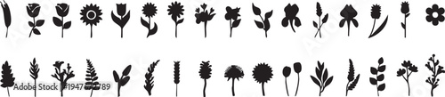 Black and white flower silhouettes vector set: rose, sunflower, tulip, iris, and more eps