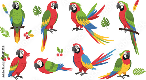 Colorful Parrot Illustration Set Featuring Tropical Macaws Sitting, Flying, and Perching with Leaves and Berries for Wildlife Nature Design.