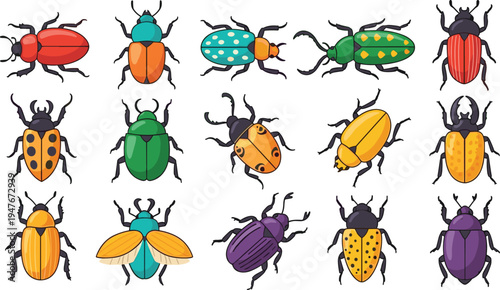 Colorful Beetle Insect Illustration Set Featuring Different Beetles with Patterned Shells and Wings for Wildlife, Nature, and Entomology Design.