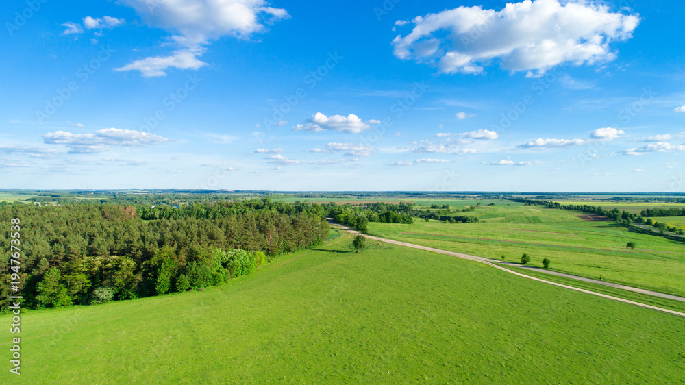 Fototapeta premium green field and blue sky