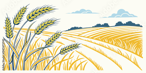 A field of golden wheat under a blue sky Vector
