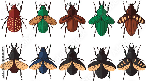 Beetle Insect Illustration Set Featuring Colorful Beetles with Detailed Wings and Shell Patterns for Wildlife and Entomology Design.
