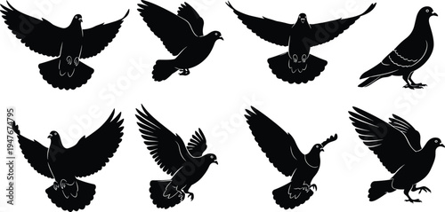 Set of black pigeon and dove silhouettes in various flying and perched poses for urban nature wildlife vector illustration and logo (20 words)