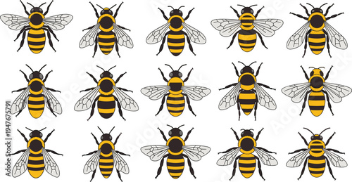 Honey Bee Insect Illustration Set Featuring Detailed Bees with Wings and Stripes in Different Poses for Nature and Pollination Design.