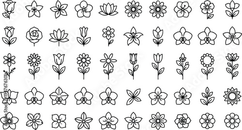 Set of 40 black line art flower icons vector