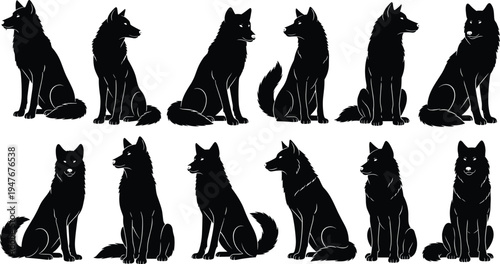 Set of black wolf silhouettes in various sitting and attentive poses for woodland nature wildlife vector illustration and logo design (20 words)