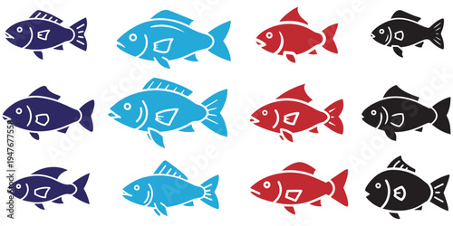 set of colorful fish species flat design vector illustration eps 10